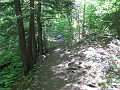 Mt Cardigan NH 2010 0080